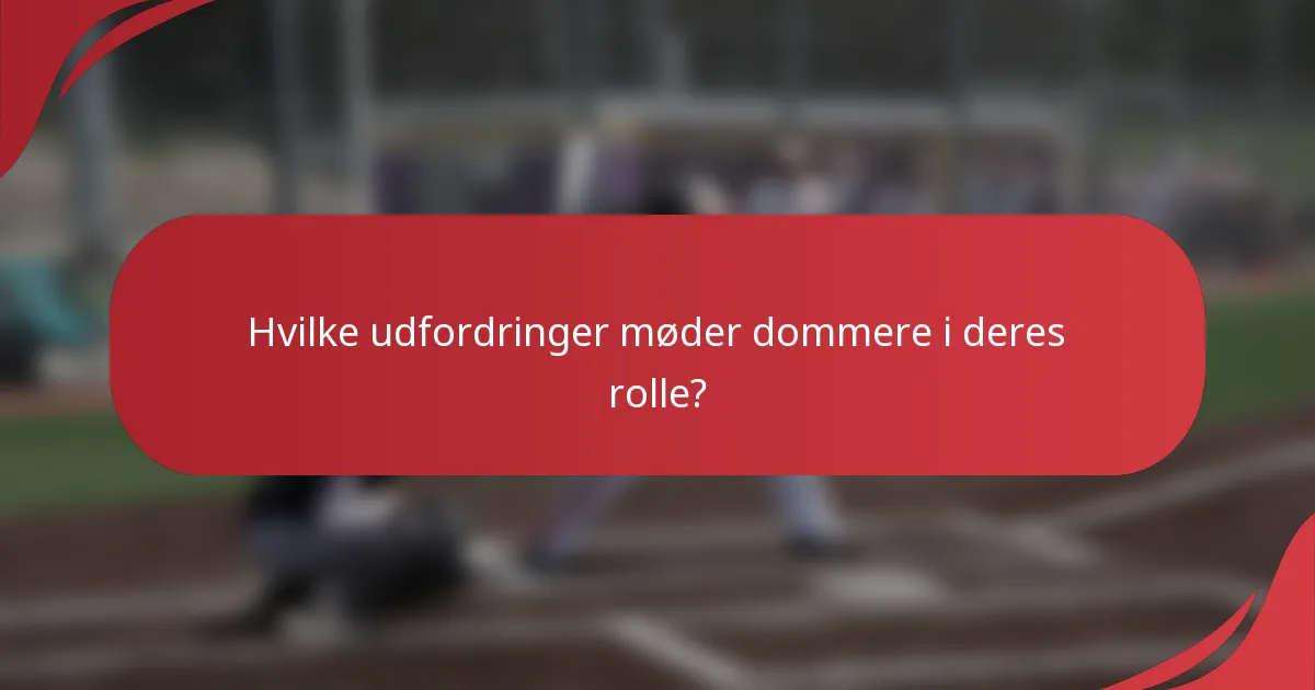 Hvilke udfordringer møder dommere i deres rolle?
