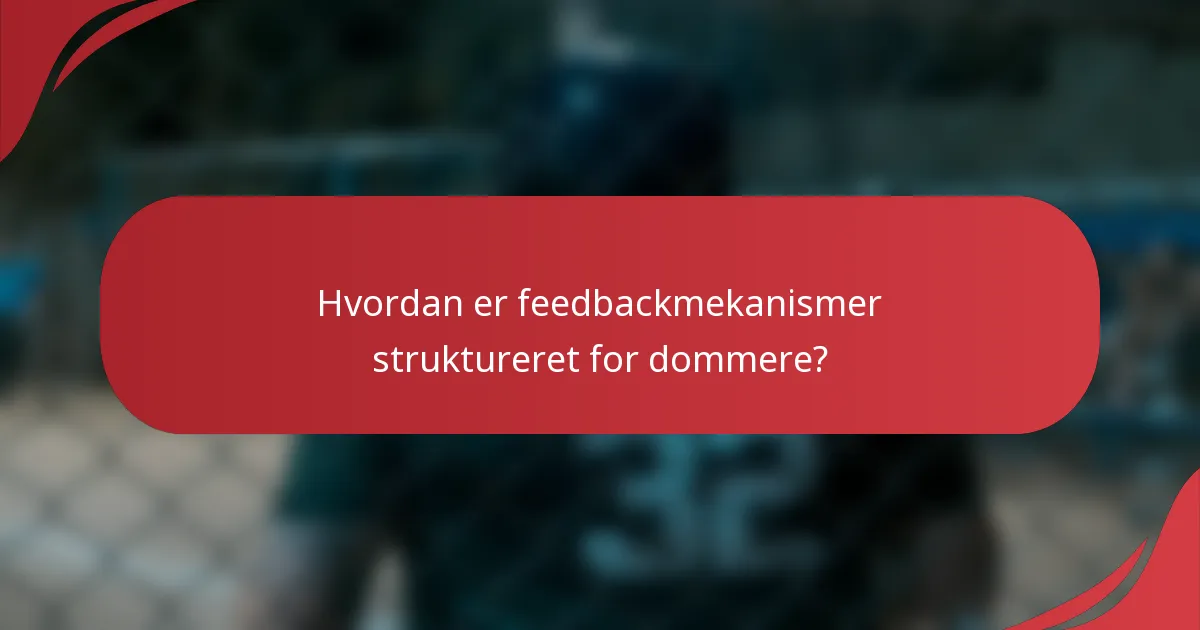 Hvordan er feedbackmekanismer struktureret for dommere?